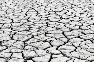 Landscape with cracked earth