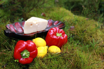 Obraz na płótnie Canvas vegetables and cheese in forest