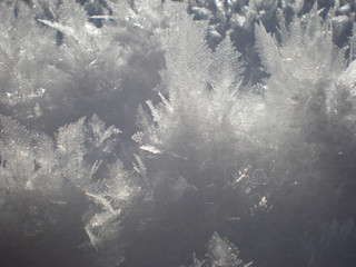 Close up of snow, with visible snow crystals