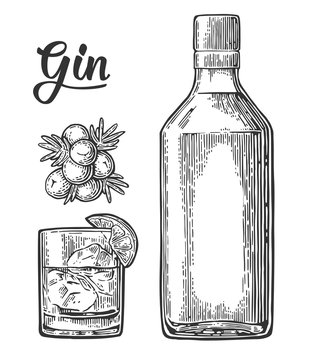 Glass and bottle of gin and branch of Juniper with berries