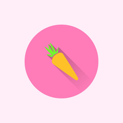carrot icon. flat style