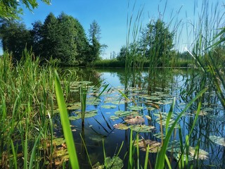 Rzeka