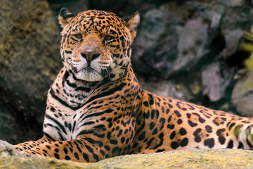 Obraz premium Juan José Martínez Palacio