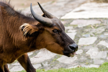 Juan José Martínez Palacio