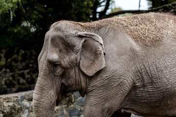 Juan José Martínez Palacio