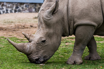 Obraz premium Juan José Martínez Palacio