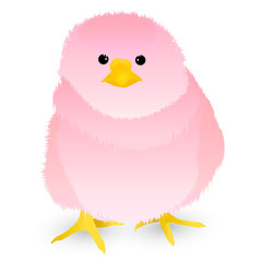 酉　ひよこ　年賀状　アイコン 