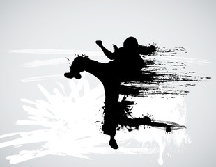 Vector of karate © zeber
