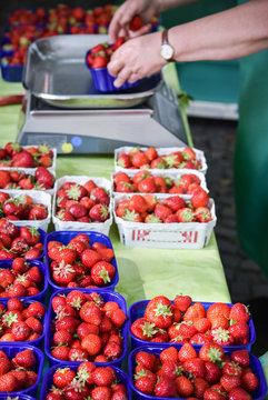 Schalen mit Erdbeeren zum Verkauf abwiegen