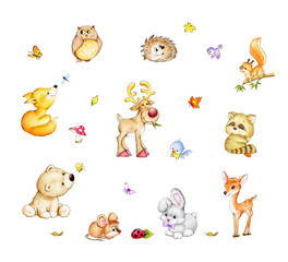 Naklejka premium Collection of cute forest animals - bear, fox, squirrel, hedgehog, raccoon, rabbit, deer, moose, mouse, owl, birds