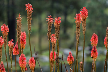 Juan José Martínez Palacio