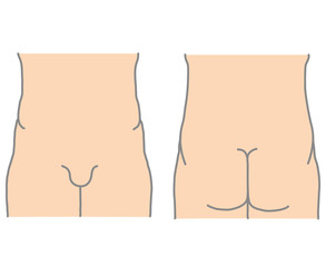 Human bottom torso