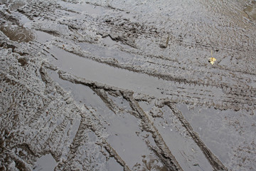 wet sand with bicycle tyre tracks