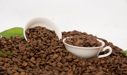 Cup with Beans on White Background, Beans