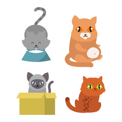 Cats collection vector silhouette. Cute domestic cats different animals. Different cats young adorable tail symbol playful paw. Cartoon funny standing drawing domestic pussy characters set.