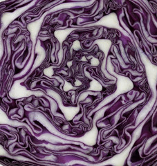 Obraz premium Red Cabbage