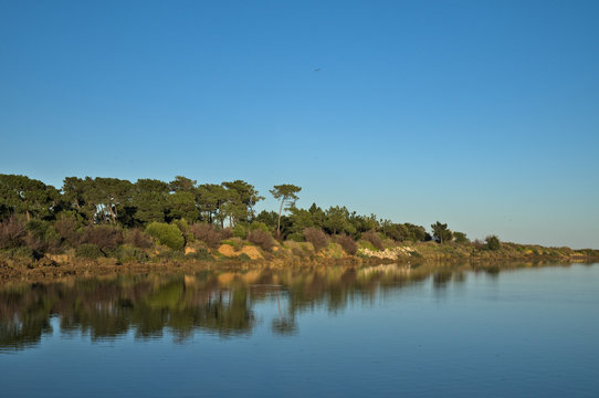 Forest trees and sky reflecting on a lake water surface. Image taken in Algarve, Portugal