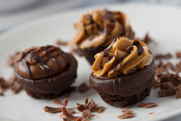 Gourmet Brownies
