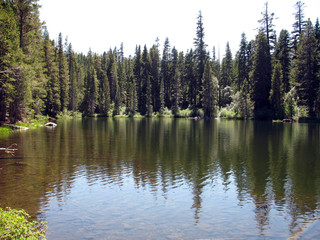 Fototapeta na wymiar Mountain Lake/Tree reflection on calm mountain pond