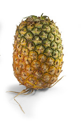 Pineapple isolated