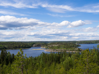 Fototapeta na wymiar Forests near lake Ladoga