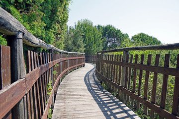 Obraz premium wooden walkway