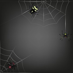 black background of the three spider sitting on two webs.