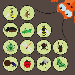 Set of various insects