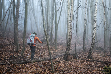 Hiking in the wood on a foggy day nature 5