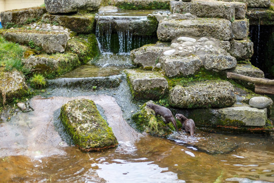 Battersea zoo in London