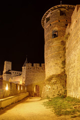 Cit&eacute; de Carcassonne de nuit - Aude