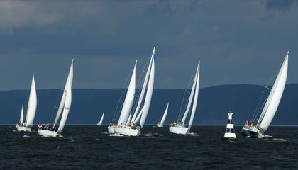 Fototapeta premium The yacht takes part in competitions