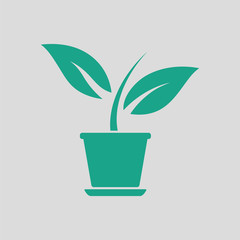 Plant in flower pot icon