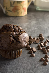 Chocolate Muffin with Chocolate Chips