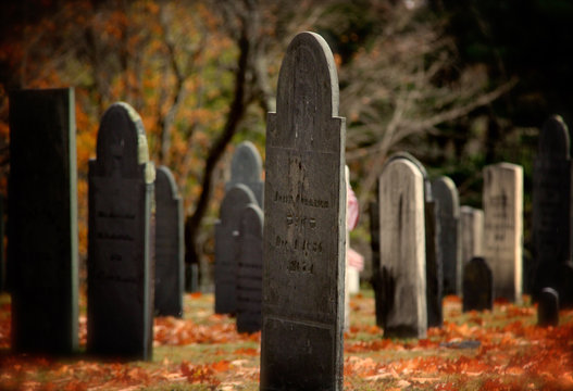 Fitzwilliam Cemetery
