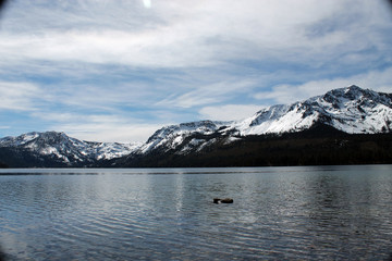 Lake Tahoe Calm/Lake Tahoe during a cloudy day