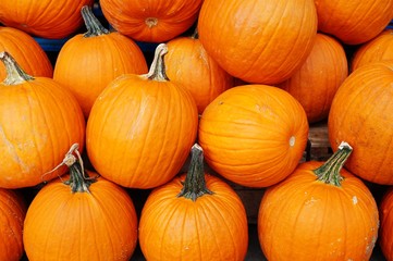Round orange pumpkins in bulk at the farmers market in the fall