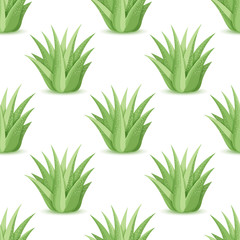 Agave - seamless pattern with desert plants. Nature floral background with green succulent leaf. Wallpaper with plantation of aloe. Vector illustration
