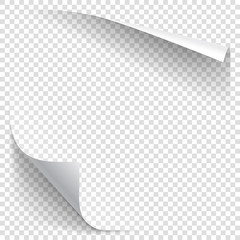 240_F_121307940_DoUYqLmJke9ZrhNmsoSgPGni