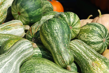 green squash stacking in piles