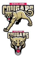 cougar mascot