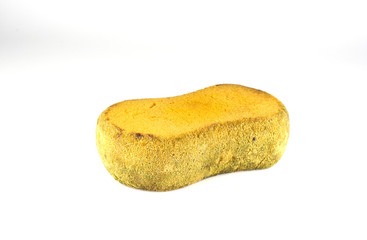 germs at sponge