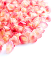 Obraz premium pomegranate and seeds on white background