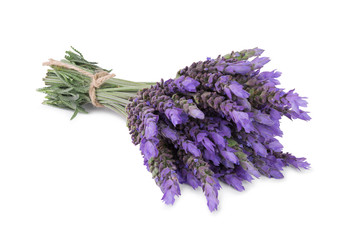 bundle of lavender