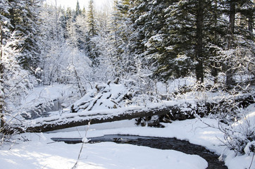 Kananaskis Country in winter