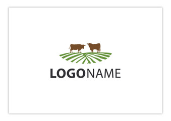 Fototapeta premium Two Cows in Farm Field