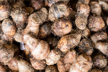 Taro root food vegetable