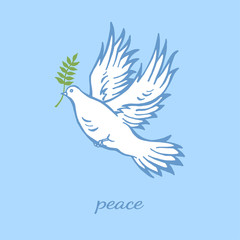 peace sign dove with green olive branch, vector illustration design
