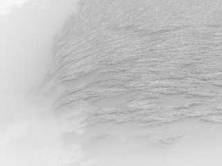 Black and white tone of water plants in the river