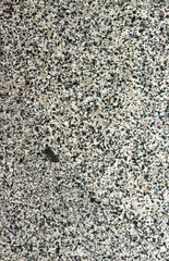 Granite stone abstract texture background. Construction material